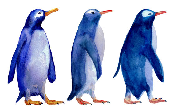 Watercolor hand drawn illustration of three wolking blue penguins isolated on white background. Design for kids background, packaging, wrapping papper. Winter theme.