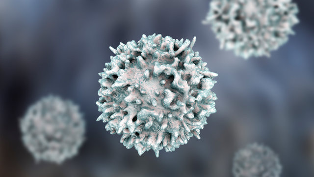 Lymphocyte, 3D illustration. Closeup view of T-cell or B-cell