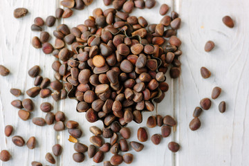 Heap of fresh and ripe pine nuts over white wooden table.