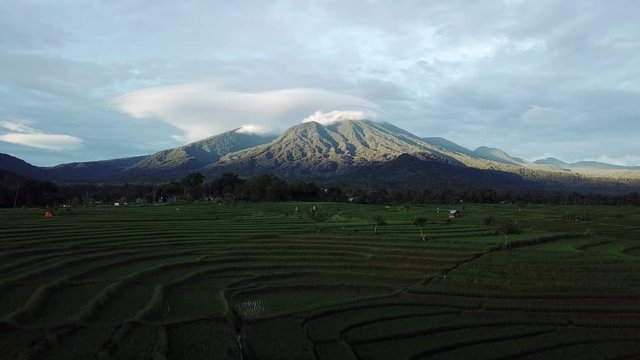 bengkulu's natural beauty from aerial photos at the time in rice fields