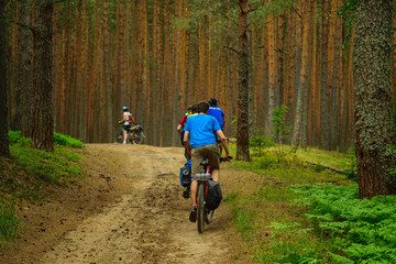 Bicyclists in the pine forest, Tver Region, Russia