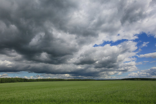 Gray thunderstorm clouds in the blue sky over a green field in summer in Russia