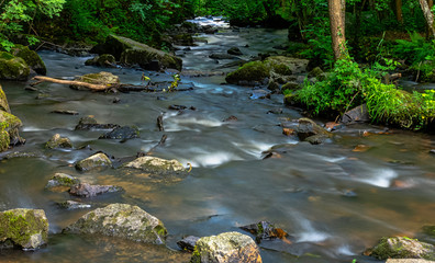 Cance / Cancon river - Le Neufbourg, Normandy, France