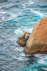Fototapeta premium Blue sea with rocky shore with pelicans
