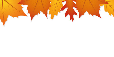 autumn leaves white background with copy space vector illustration EPS10