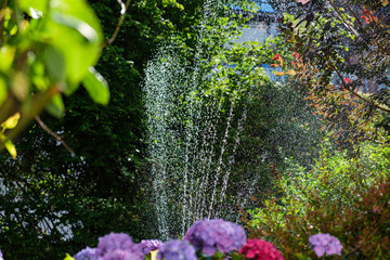 Garten wird gewässert