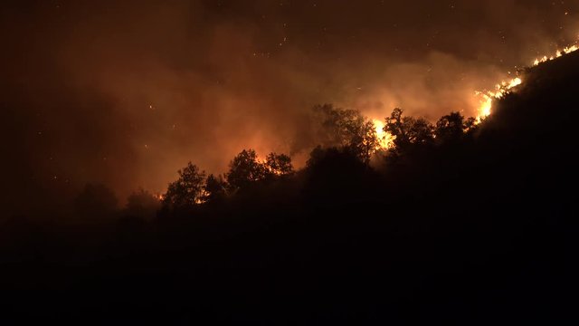 Europe: Night forest fire burning on mountain