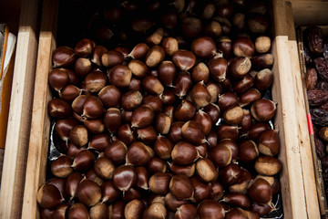 Group of Hazelnuts