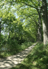 canal du midi - vertical