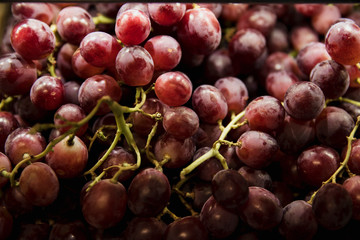 Fresh Red Grapes
