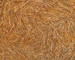 haystacks lie on a field harvesting on a farm