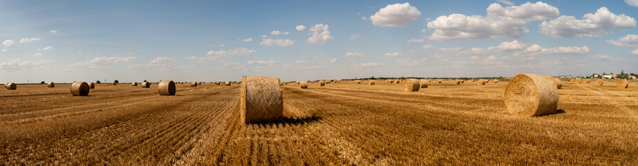 Plakat haystacks lie on a field harvesting on a farm