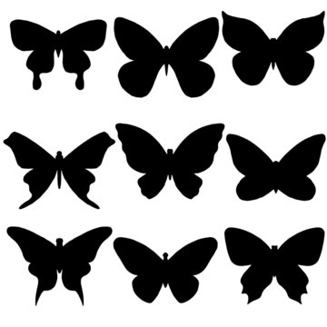 a set of different butterflies in black