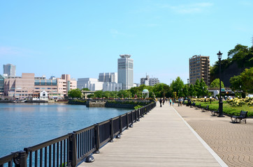 春の公園　神奈川県横須賀市ヴェルニー公園の風景