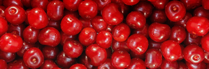 Red cherry berries close-up panorama. Toned