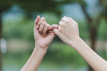Pinky fingers of buddies in nature background promise is important for people in the world.