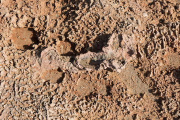 Brown soil texture from above