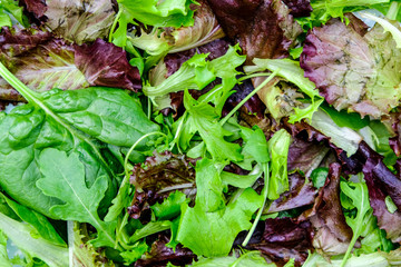 Italian Style Baby Leaf Salad