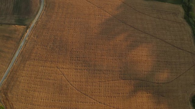 Colline toscane viste con il drone al tramonto.
