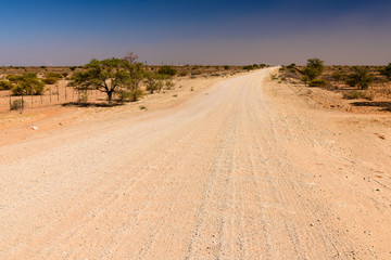 Fototapeta na wymiar Dirt gravel road through the Kalahari Desert, Namibia