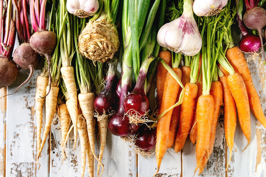 Variety of root garden vegetables carrot, garlic, purple onion, beetroot, parsnip and celery with tops over white wooden background. Flat lay, space