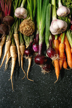 Variety of root garden vegetables carrot, garlic, purple onion, beetroot, parsnip and celery with tops over black texture background. Flat lay, space