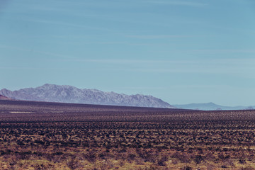 Desert landscape