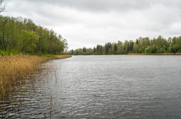 a cloudy day at the broad river, with many trees on both banks; river bank with reeds