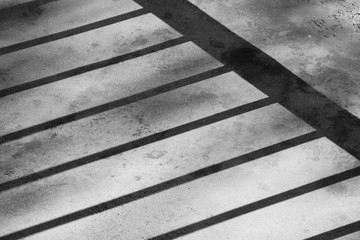 shadow of the cage on a cement floor