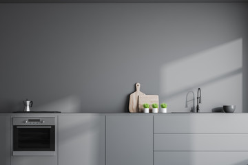 Gray kitchen interior with countertops - obrazy, fototapety, plakaty