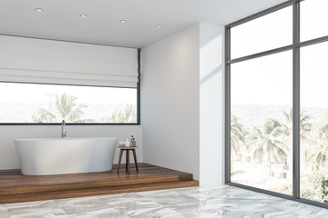 White loft bathroom corner with tub