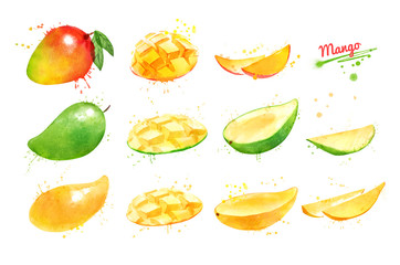 Watercolor set of illustrations of Mango fruit