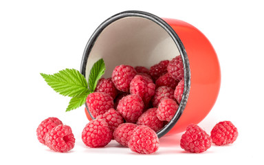 Fresh and ripe raspberry in mug, green leaves.
