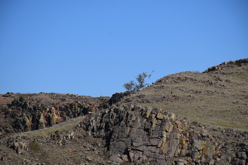 Near the Uybat river.Khakassia.
