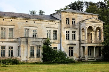 woman walking dog on beach
