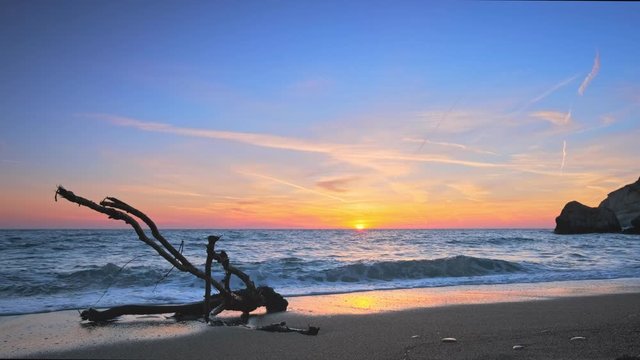 Оld wood trunk snag in water at tropical beach on beautiful sunset