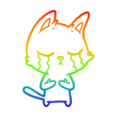 rainbow gradient line drawing crying cartoon cat