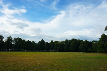 green field and blue sky, football field