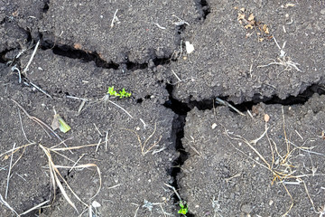 Top View Dry Cracked Soil Texture