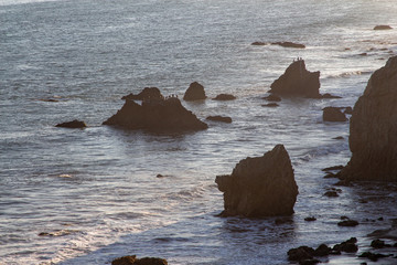 Seagulls sitting on a rock with a beautiful view 