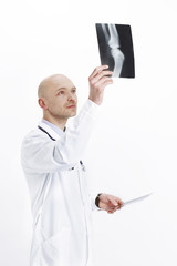 Naklejka na ściany i meble experienced therapist examining a radiograph of the patient