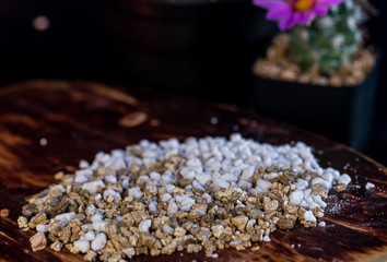 Pumice pebble close up on wooden background