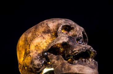 Human skull  isolated on black background