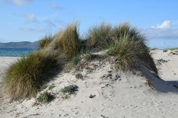 Düne an der Küste von Kos, Griechenland - Dune on Kos, Grecce