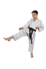 Teenage boy doing martial arts