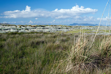Dünen an der Küste von Kos, Griechenland (im Hintergrund das türklische Festland) - Dunes on...