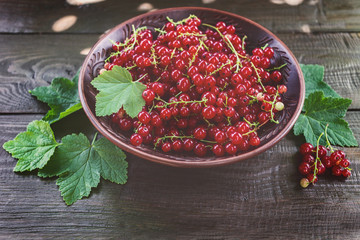 harvest red currants in a ceramic bowl close-up. background with fresh currant.