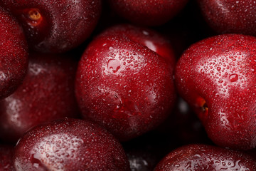 Ripe and fresh berries of a sweet cherry with water drops closeup.