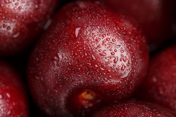 Ripe and fresh berries of a sweet cherry with water drops closeup.