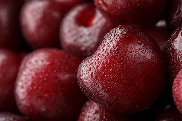 Ripe and fresh berries of a sweet cherry with water drops closeup.